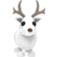 Arctic Reindeer
