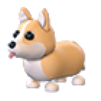 Corgi