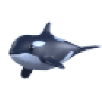 Orca