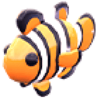Clownfish