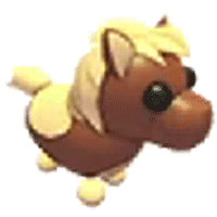 Shetland Pony Dark Brown