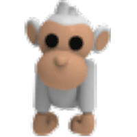 Albino Monkey