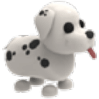 Dalmatian