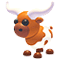 Longhorn Cow