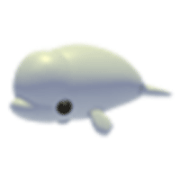 Beluga Whale