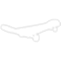 Neon White Skateboard