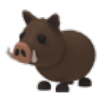 Wild Boar