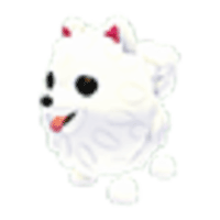 Samoyed