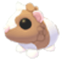 Chocolate Dutch Guinea Pig