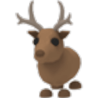 Reindeer