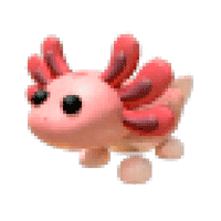 Axolotl