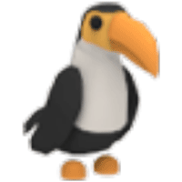 Toucan