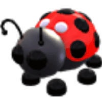 Ladybug