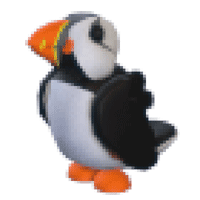 Puffin