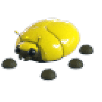 Giant Gold Scarab